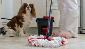 mop for pet messes